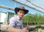 THUMBS UP: Researcher Hoan Dinh has managed to sequence a gene important in suppressing rust in barley.