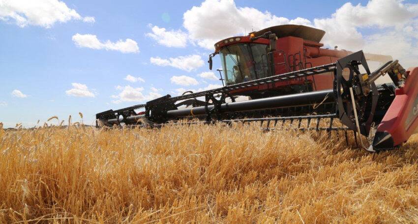 Latest grain production estimates from the USDA have ignored the huge crop just harvested here in Australia.