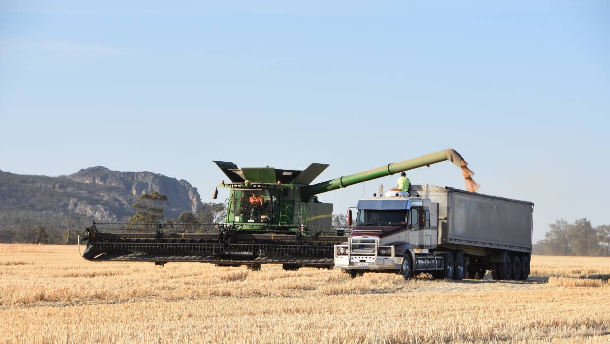 Emerald Grain is a major grain buyer and bulk handler, especially in south-eastern Australia. Photo: Gregor Heard.