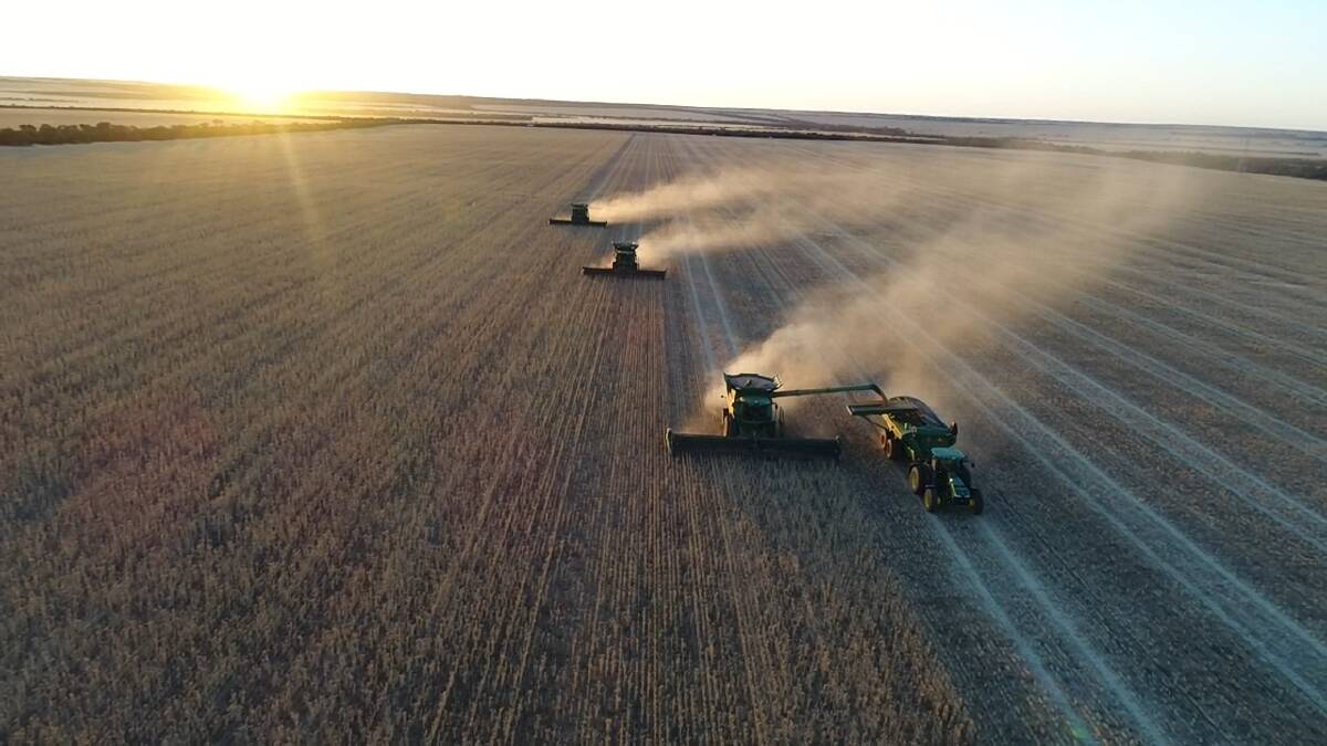 Harvest at Bodallin Farms in the eastern Wheatbelt of WA. Daybreak Cropping, a part of Warakirri, owns the farm and will participate in a new sustainability scheme pilot program.