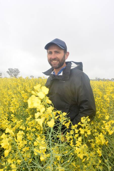 BIG YIELDS: Rohan Brill, Brill Ag, says nitrogen management is critical in hyper-yielding crops.