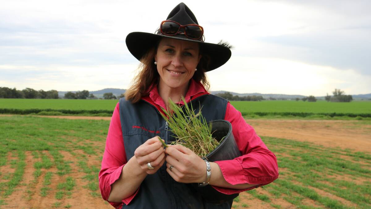Pasture specialist Jane Kelly said her AW Howard scholarship was a critical help in her studies.
