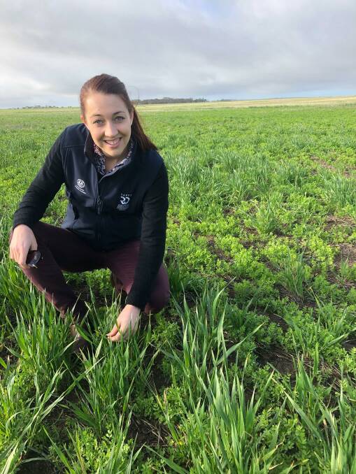 SARDI plant pathologist Tara Garrard advised growers to be vigilant in watching for fungal disease in barley and any potential resistance to fungicides.