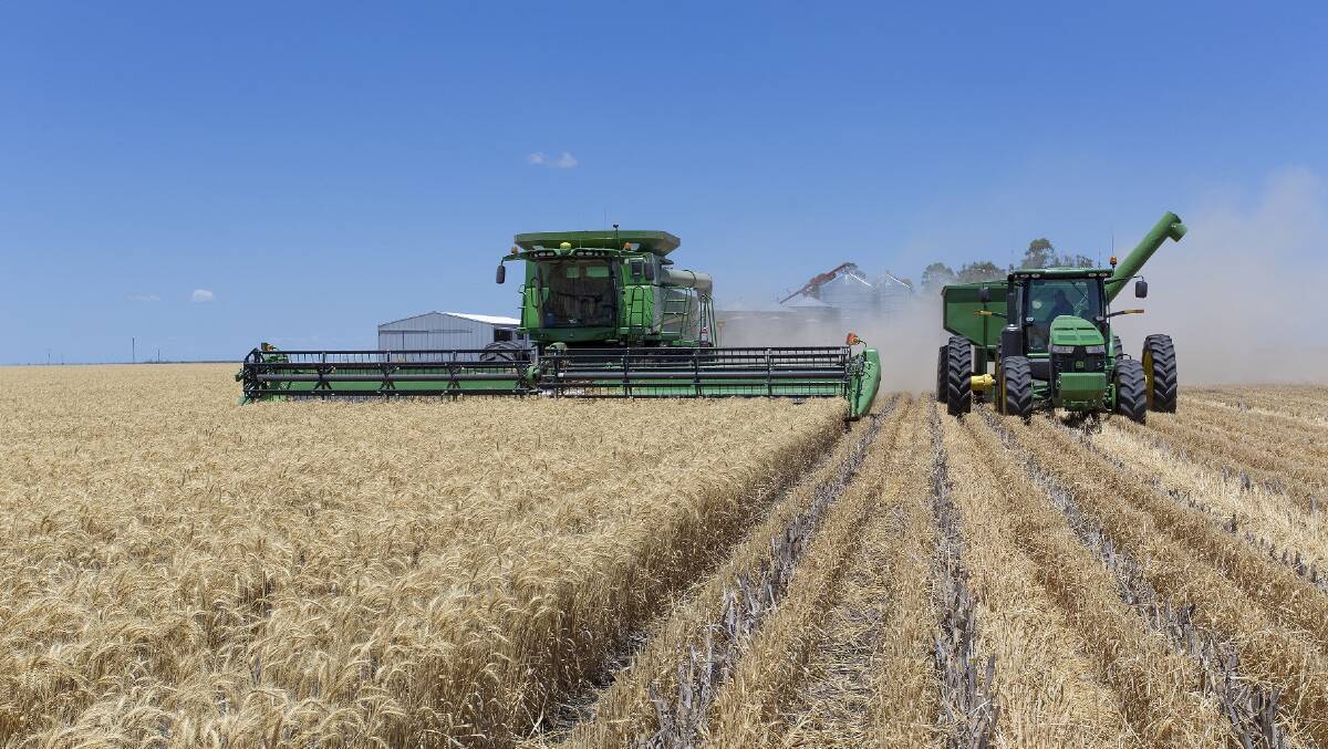 Australian farmers could be looking at one of their best years ever in gross margin terms due to a heady combination of probable good yields for many along with high prices.