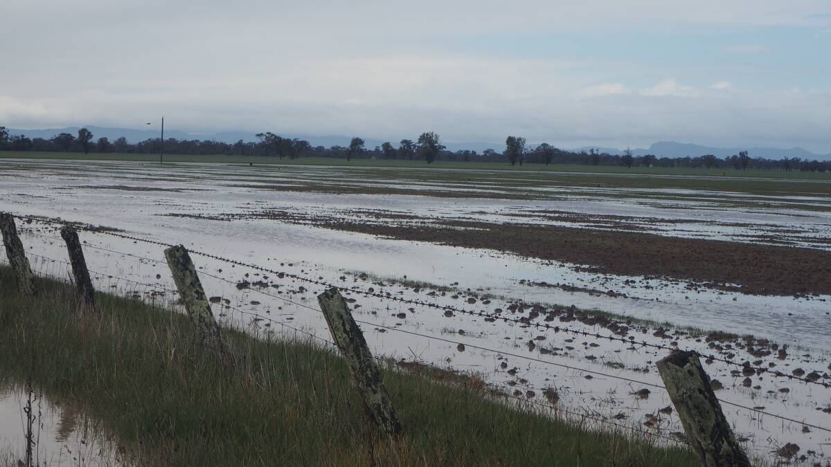 WATERLOGGED: There are concerns that crop will either go unplanted or be waterlogged due to heavy rain through autumn and early winter.