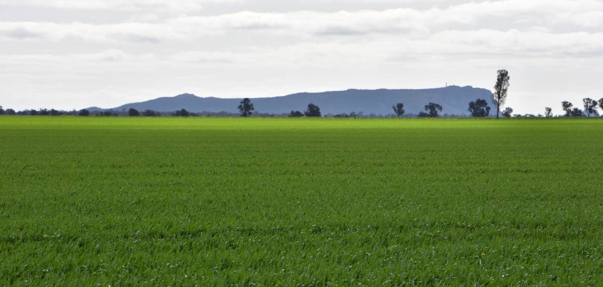 Lush crops and pastures are the order of the day in southern Victoria and Tasmania but the wet conditions drop off quickly.