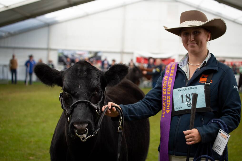 Georgia Gibson's desire to establish her own Angus stud with her mother and brother has been partly spurred on by showing her grandfather, Wayne Bellman's, Ranges Angus Stud cattle over the years. Picture supplied