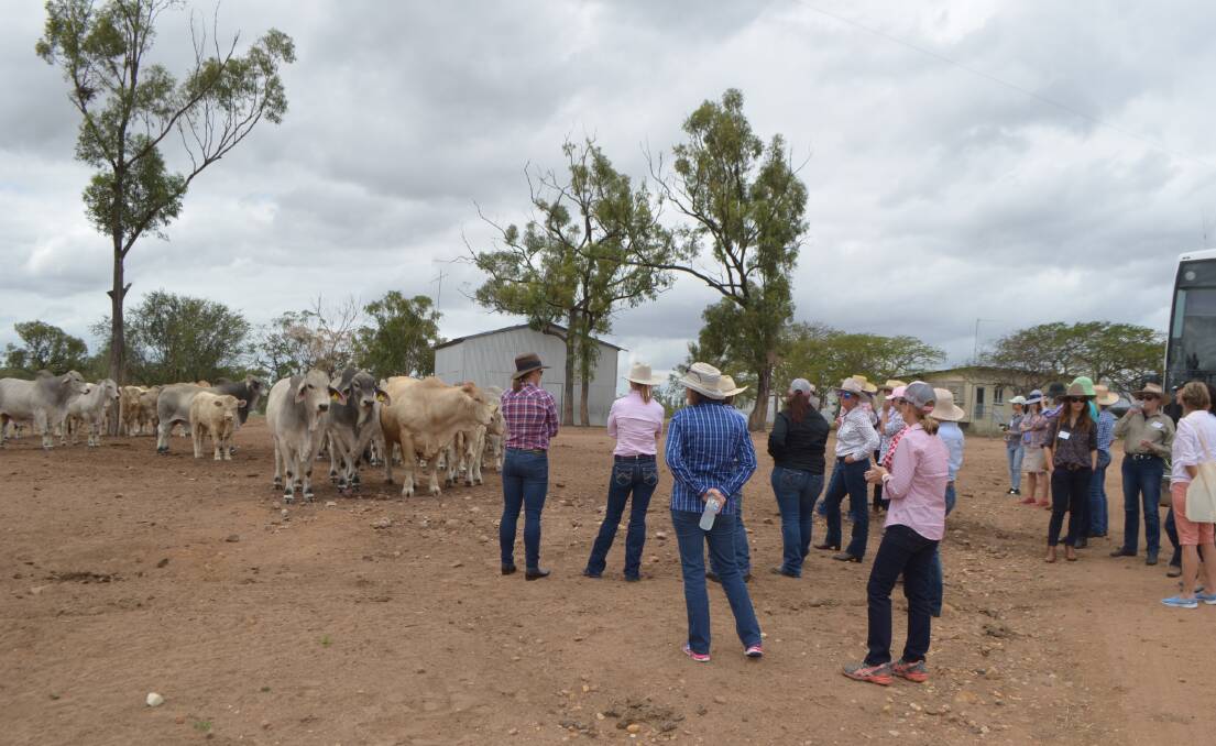 Close to 60 leading pastoral women from across the North attended the Women in Grazing Bus Tour held around the Upper Burdekin on Wednesday, August 31.