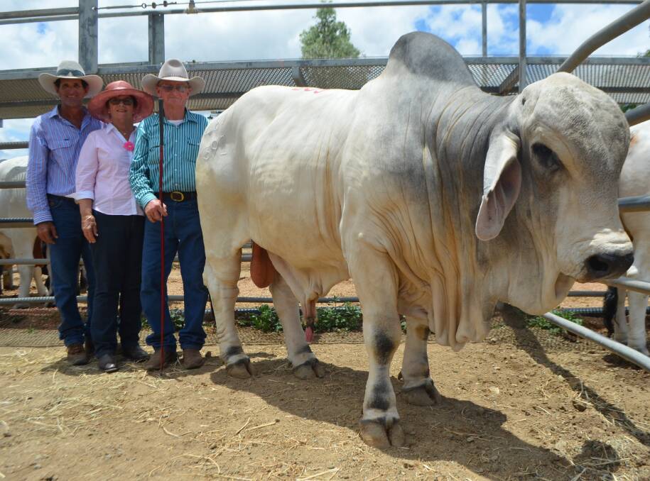 Kelvin and Margaret Maloney, Kenilworth Brahman, Mt Coolon, with Lot 205 Kenilworth 4899 (P) which set a commercial herd bull record on day two of the Big Country Brahman Sale after being purchased for $96,000 by Brian Hughes (left), Lanes Creek Brahmans, Georgetown.