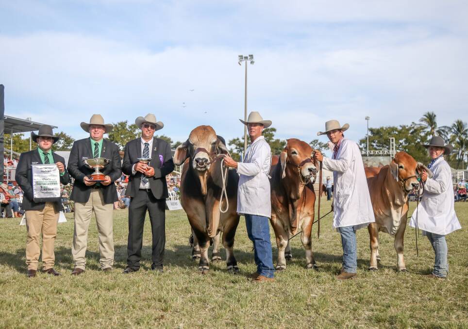 Dane Pearce and Mark Scholes, Nutrien, judge Roger Evans, NCCs Brett Nobbs and paraders Lachlan Collins and Annalee Godwin with the Beef '21 interbreed champion group NCC Novak, NCC Navajo and NCC Nova. File picture