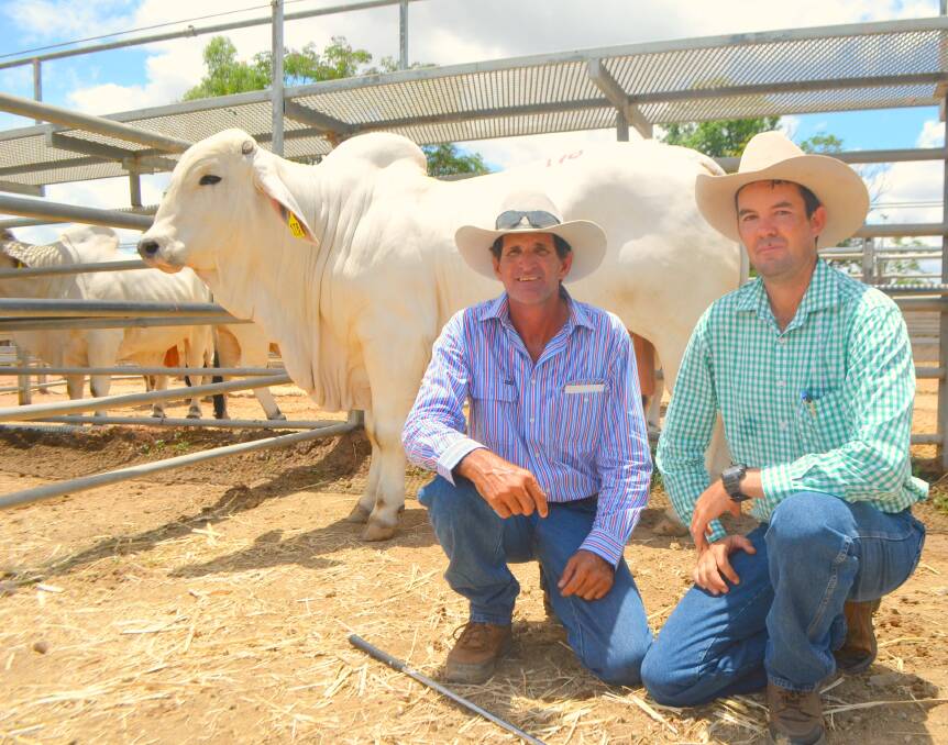 The Big Country Brahman Sale concluded earlier this afternoon in what turned out to be a day for the history books.
