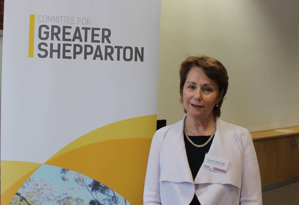 PROJECTS AND INSULT: Shepparton Independent MP Suzanna Sheed says the projects are an insult to everyone who worked to put a robust socio-economic test in place.