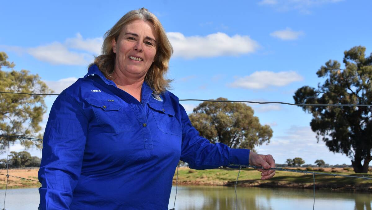 PLAN INQUIRY: Denliquin Poll Dorset stud operator Linda Fawns says any future inquiry into the Murray-Darling Basin Plan should be wide ranging.