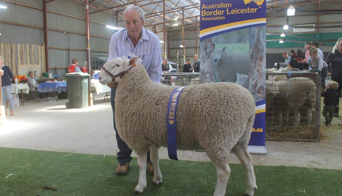 TOP RAM: Ian Baker, Geraldine Border Leicester stud, with the winning ram at the 29th Horsham Show and Sale. The ram also took out the champion ribbon at this year's Royal Melbourne Show.