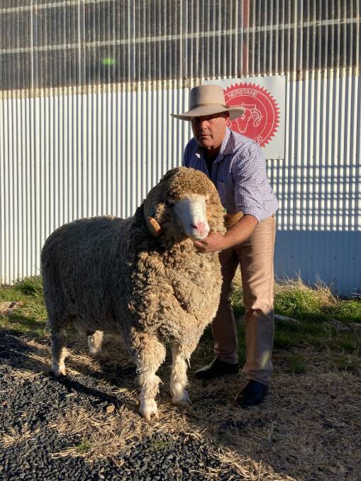 SALE TOPPER: N161, which topped the Australian Sheep & Wool Show ram sale, is described as proud and with "a foot in every corner" by Nerstane stud principal Hamish McLaren. 