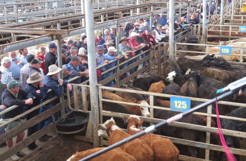 SALEYARDS RESTRICTIONS: Some Victorian saleyard operators are seeking to restrict market participants, including those who were not buying or selling.