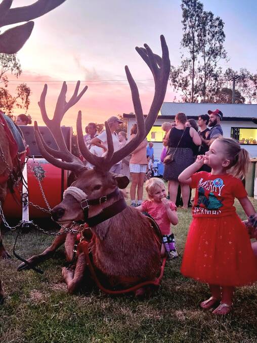 The visiting reindeer enchanting young and old. Picture: Sally Gall