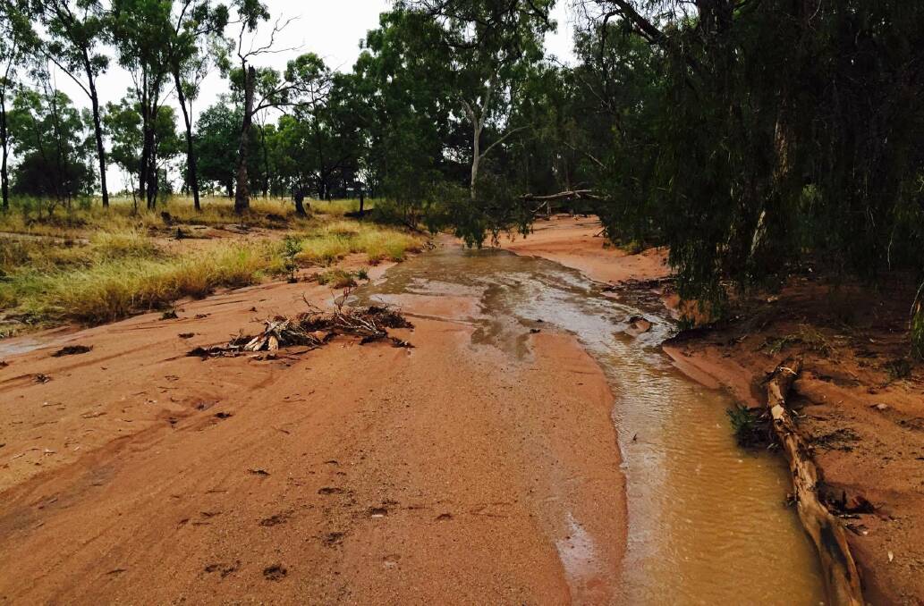 A creek starting to run at Clancella Downs, 20km south of Charters Towers. Photo from Kylie Stretton.