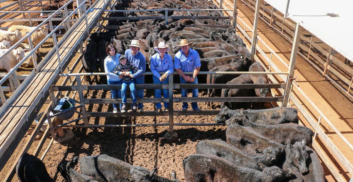 Julie, Leo and Jeremy Shaw alongside Watkins and Co agents Charles Gleeson and Brad Neven with the line of JS Grazing heifers that sold to 568c/kg at Roma on Tuesday. Picture - Maranoa Regional Council.