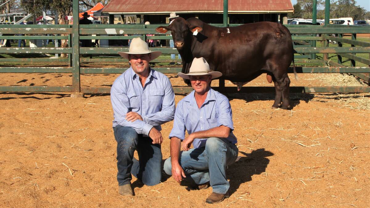 Yarrawonga Stud principal Andrew Bassingthwaighte and Shane Hatton, Diamond H Stud, purchaser of the second top priced bull, Yarrawonga Krafty R6 (P).