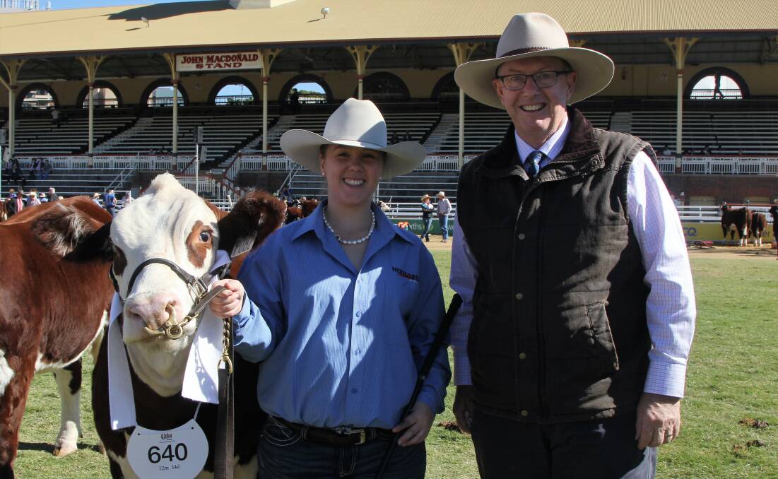 Former Hereford breeder federal Regional Services, Decentralisation and Local Government Minister Mark Coulton was a keen observer at the Hereford judging on Friday, presenting ribbons including third placing for Binara Coral, exhibited by Binara Poll Herefords at Goondiwindi and handled by Rachel Relf.