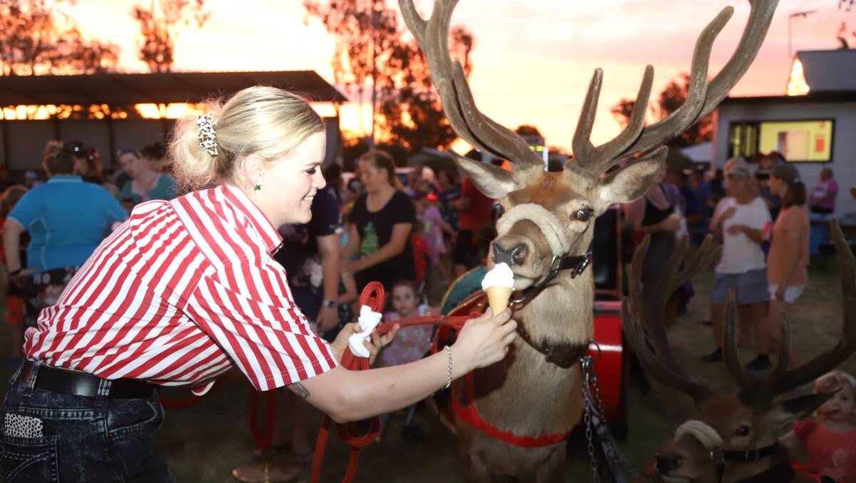 Georgia Reimers feeds Radar the reindeer a soft serve icecream after a hot day at Tara. Picture: Sally Gall