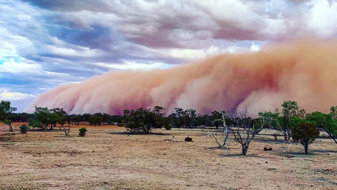 Andy Picone's photo of the dust storm approaching Wallyah, Quilpie, in early January.