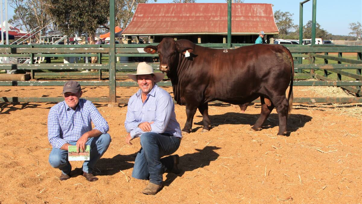 Scott Ferguson, Glenn Oaks Stud, Nobby, the purchaser of the top priced bull, Yarrawonga Katmandu R236, with Yarrawonga principal, Andrew Bassingthwaighte. Photos: Sally Gall