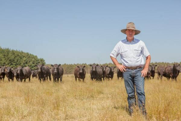 BRED WELL: Colin Henke, who runs Lakala Pastoral Company with wife Karen in Mumbannar in Victoria, believes Angus cattle are best. PHOTO: Kate Pearce