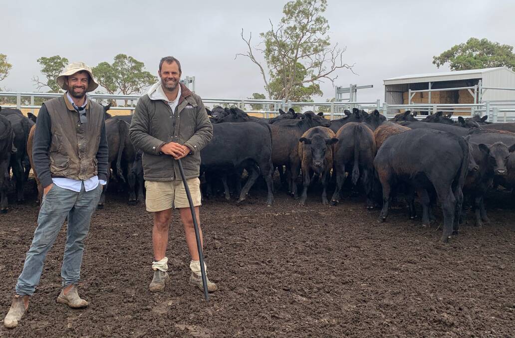 GOOD CHOICE: Serious Angus fans Will and George Verco help run the family operation at Marcollat, Padthaway, and Sarnia, Willalooka, South Australia.