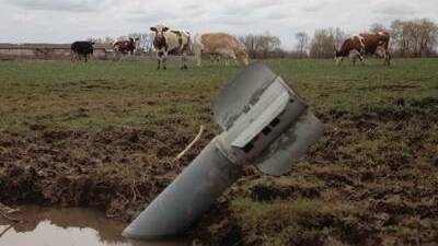 Pictures from Ukrainian dairy farms attacked by Russian forces