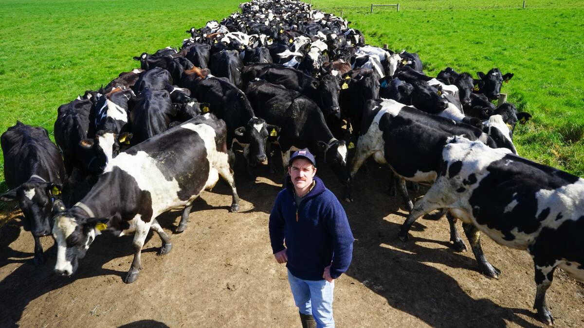 Garvoc, Vic, dairy farmer Joseph Conheady says he looks over the fence to see what is growing successfully on his neighbours' properties. Picture by Rachel Simmonds