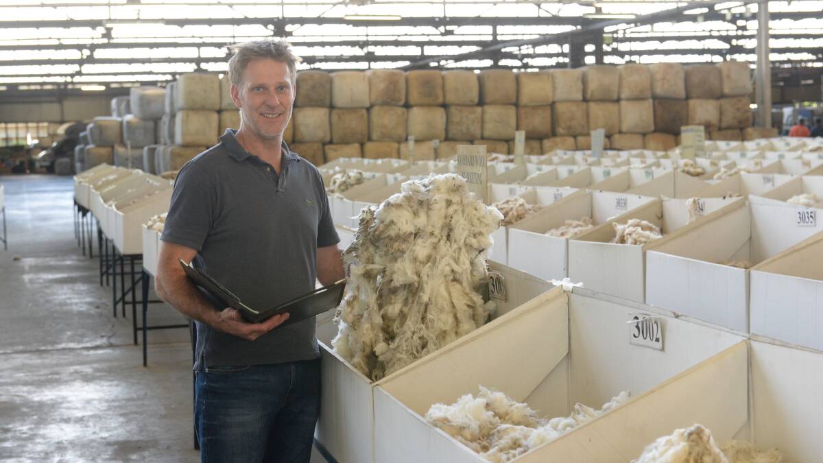 Endeavour Wool Exports, Sydney manager, Stuart Greenshields, inspecting fleece at Yennora wool auctions. 