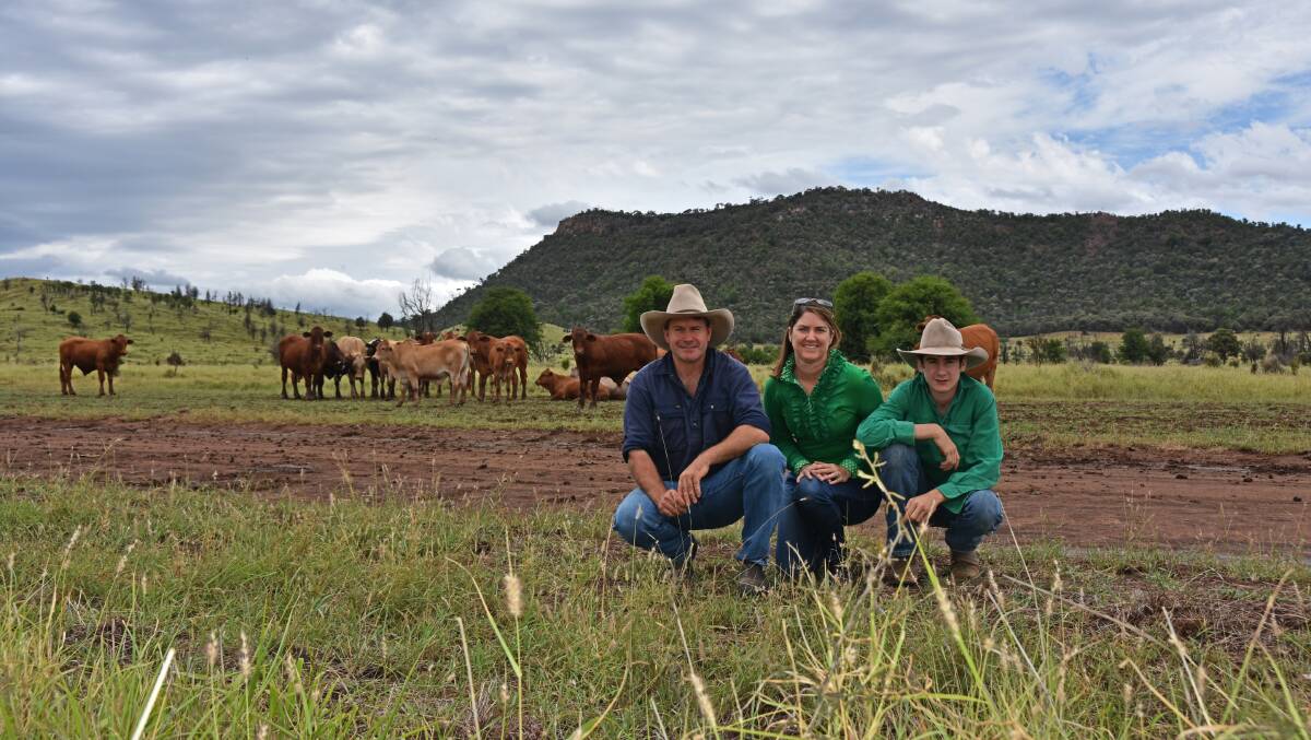 Arcadia Valley producers Owen, Brigid, and Rob Price, Hillyvale, Injune, Queensland, are constantly reviewing their farm safety procedures after a series of accidents. 