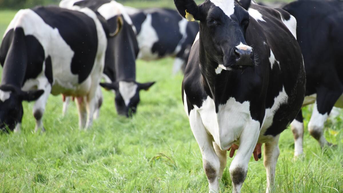 Call for a new Federal Dairy Commissioner