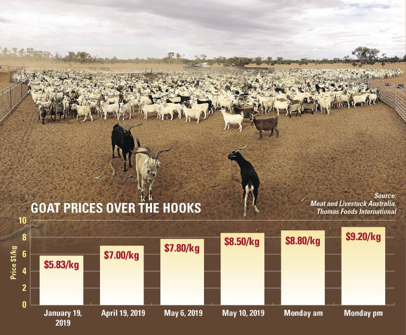 RETURNS SURGE: Goat prices jumped 40c/kg in a matter of hours on Monday. Main image is of goat mustering at Lachlan Gall's Coogee Lake Station north of Broken Hill, NSW. Photo: MATT JACKSON