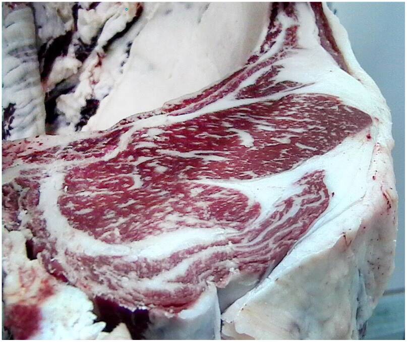 CARCASE QUALITY: The carcase, processed at Bindaree Beef, that had a marble score of nine. 