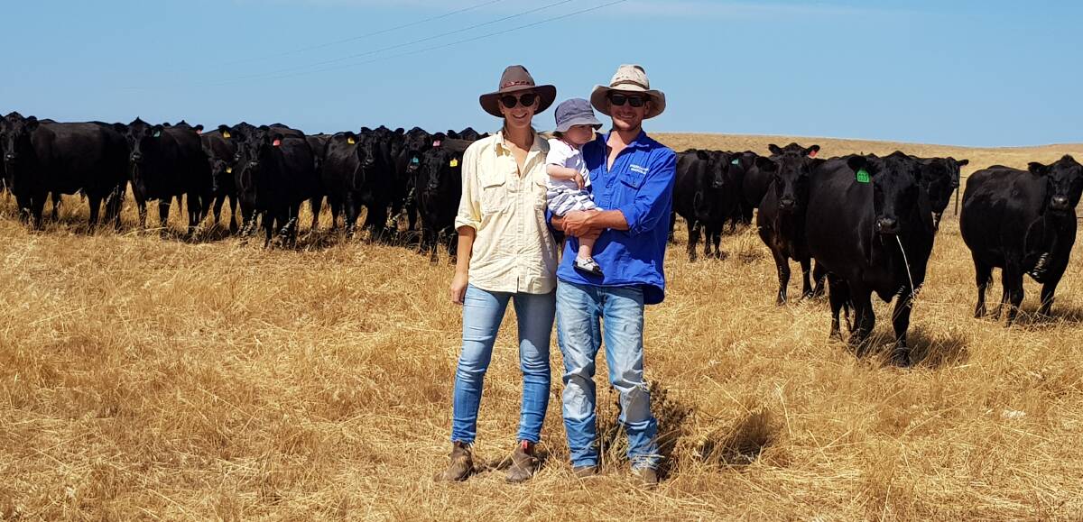 ROTATIONAL GRAZING: Keith and Kirsty Cowan and their son Arthur, 18 months, with their Angus cattle. 