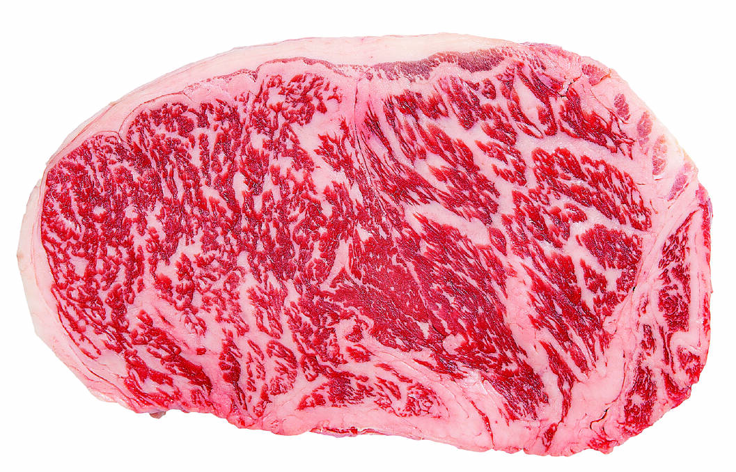 Chiconi Wagyu. The operation produces high quality carcases, with data collected being used to make calculated breeding decisions in the fullblood program. Picture supplied
