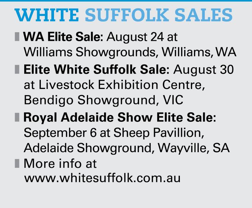 Prime success with White Suffolk sires