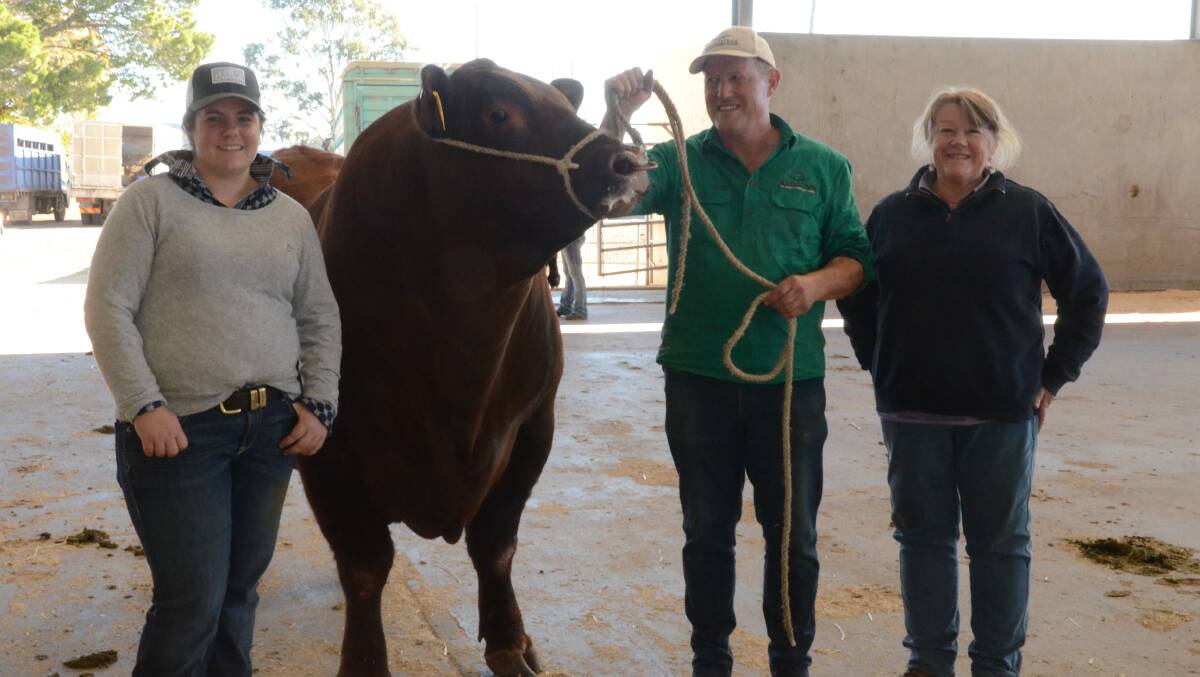 Cliff and Maree Downey, Redgums stud, Yambuna, Vic, with Maddy Telford, MGT stud, Barham, with Redgums Willy, the $10,000 equal top-priced Red Angus bull bought by the Kirk family, Mt Saul Grazing, Ticoba Station, Mundubbera, Qld.