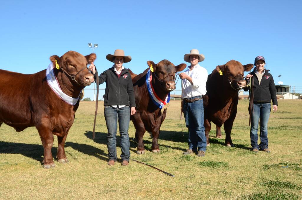 The Powe family, Goondoola Red Angus stud, Cargo, had a very successful National. Pictured is Hannah Powe holding junior and grand champion bull, Goondoola Nebraskasold at $5000; Peter McNamara holds senior champion bull Goondoola Never Forget which made $5000 and Nicole Skipper holds the $10,000 equal top-priced bull, Goondoola National.