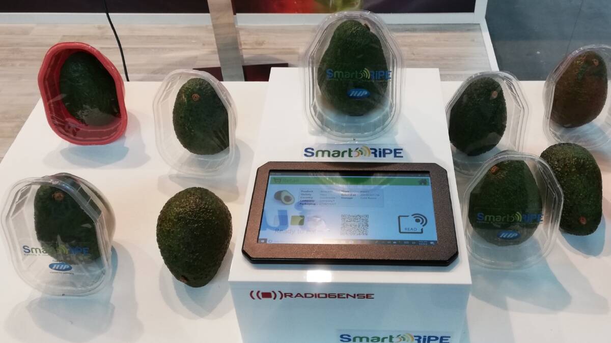 SMART: The Smart Ripe system where a product packaged in a plastic case with an RFID tag is placed onto a cradle to be analysed for freshness. 