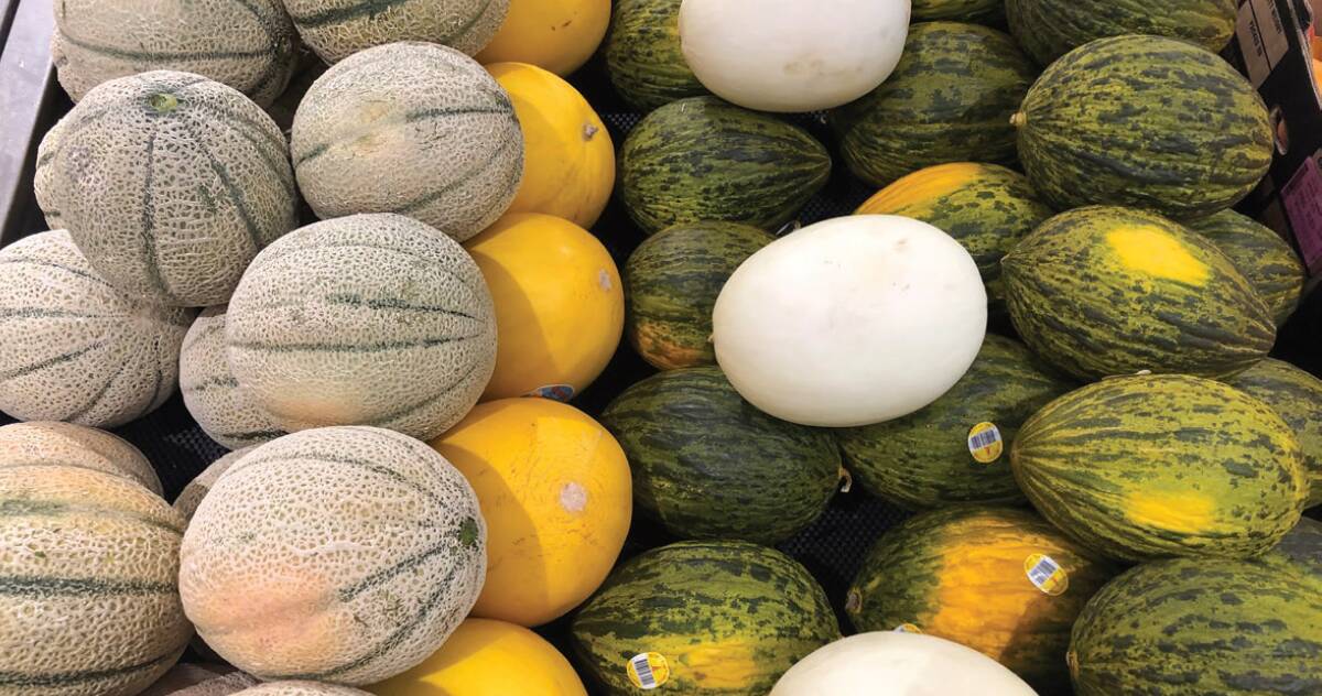 GUIDE: The NSW Department of Primary Industries has released a best practice guide for rockmelon and other speciality melon growers. 
