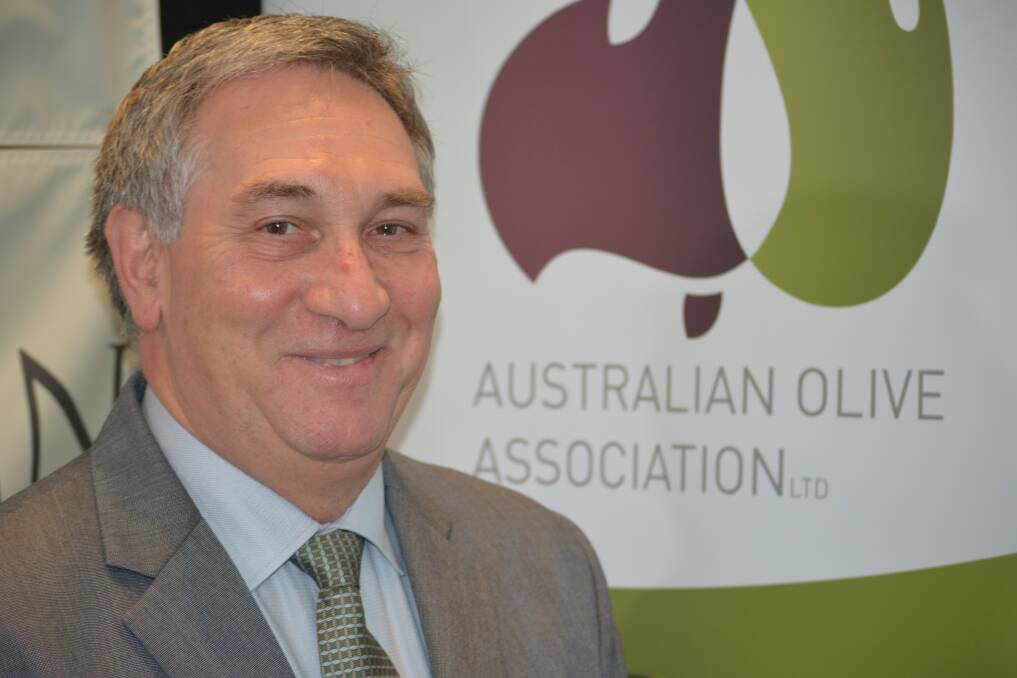 CHANGES AFOOT: Australian Olive Association CEO, Greg Seymour, says the industry must embrace the efficiencies it has developed during tough times in order to progress into the future.