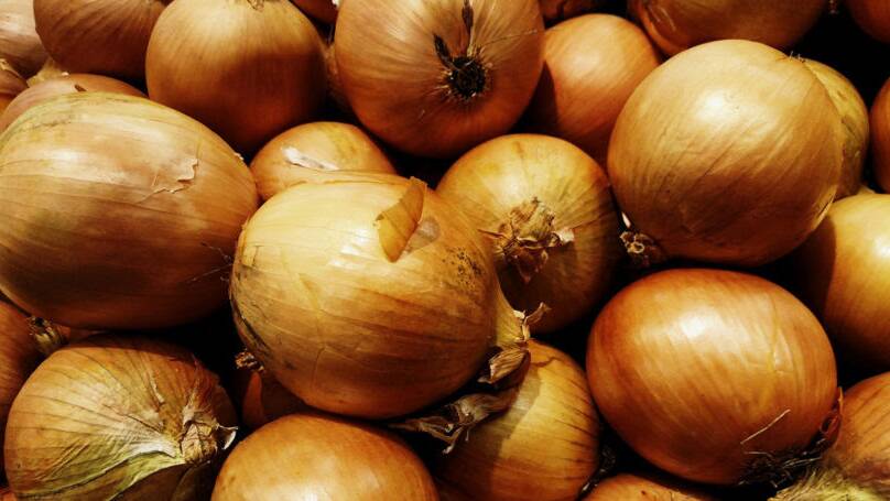 NEW USE: Quercetin from the skin of brown onions is one of the compounds being targeted in South Australia by the new Agricultural Product Development Research Consortium. Photo: Thad Zajdowicz.