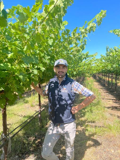 RESEARCH: Former University of Adelaide PhD student Pietro Previtali was a co-author on research into the best methods to delay grape ripening.
