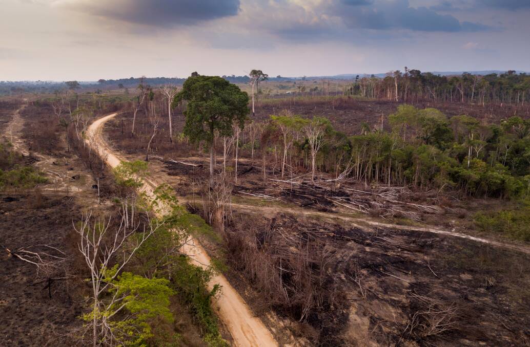ENVIRONMENTAL DAMAGE: Aerial view of deforestation in the Amazon rainforest in Brazil, where trees have been cut and burned on an illegal dirt road to open land for agriculture and livestock. Picture: Shutterstock