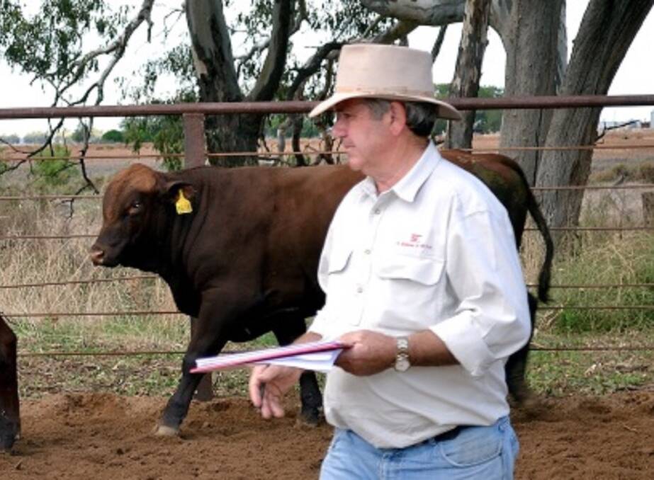 LOOKING FORWARD: Paul Quigley believes technology, genetics and animal health are where the big gains lie.