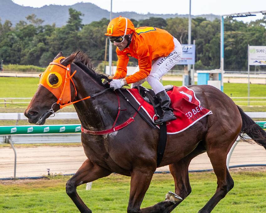 Full Recognition wins a Class 3 Plate at Cairns on April 30. The 4YO gelding was one of five winners for leviathan owner Tom Hedley and one of four each for trainer Cairns Stephen Massingham and jockey Chris Whiteley. Picture: Mike Mills
